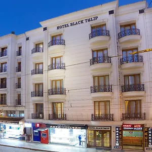 4* Отель Black Tulip